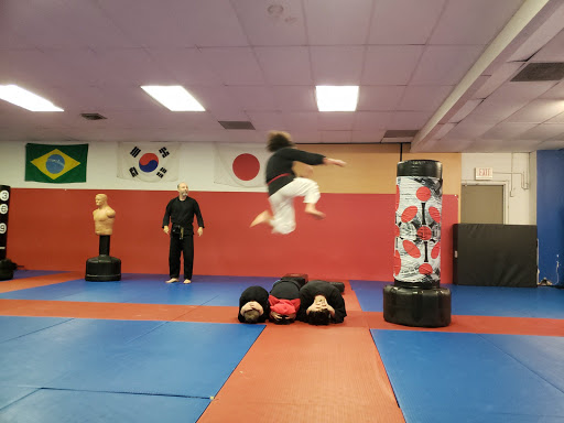 Stan Lee's United Martial Arts. - Thumbnail