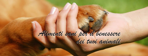 Bergamopet - Thumbnail