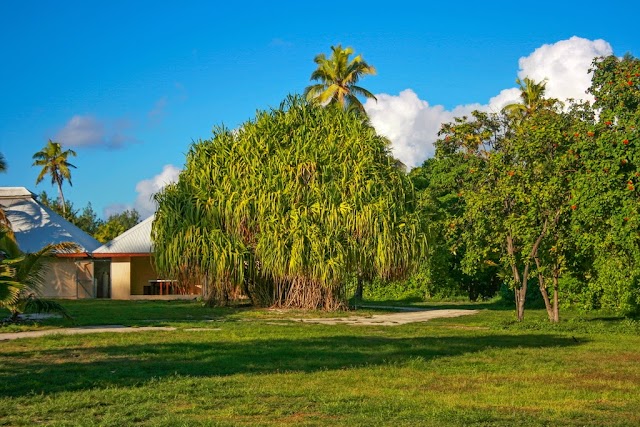 Bird Island Lodge