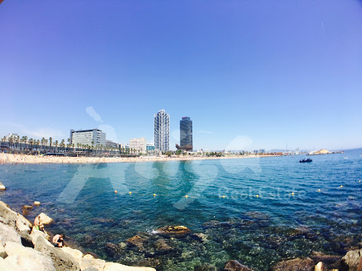 Àliga Real Estate - Thumbnail