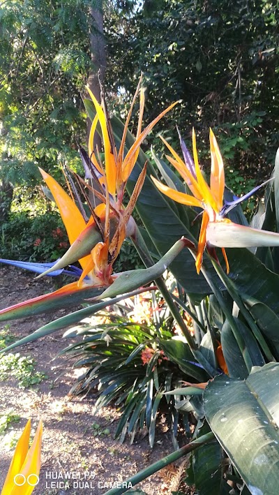 Photos of El Trebal Park