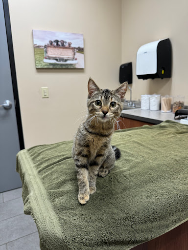 Oak Creek Veterinary Care - Thumbnail