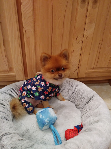 Steve & Leslie's Grooming Gallery - United States