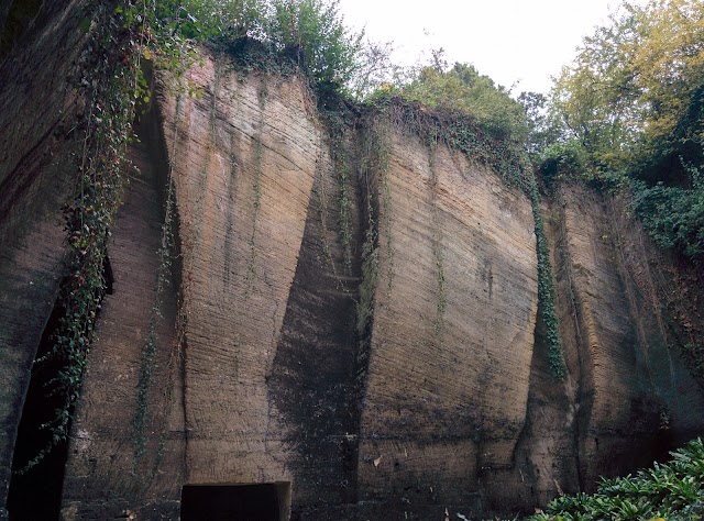 "Le Mystère des Faluns" - Les Perrières