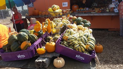 Photos of McGrath Street Pumpkin Patch