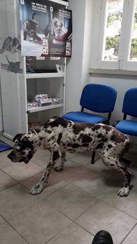 Avaliações doClínica Veterinaria de Torres Novas Lda em Torres Novas - Veterinário