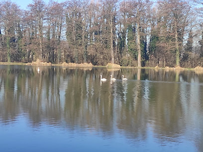 Zalaszentgrót Sport-tó horgásztó