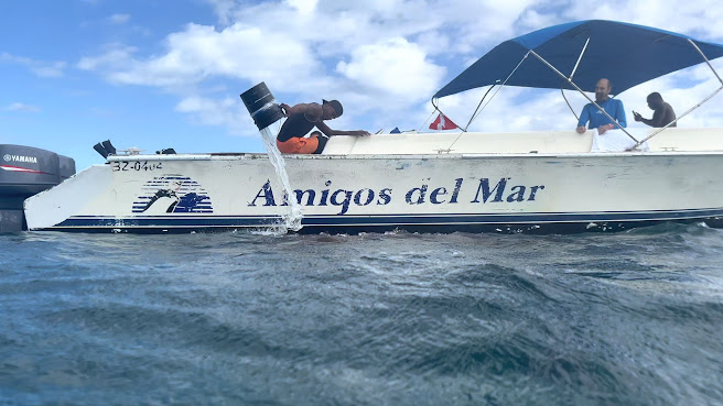 Amigos Del Mar Tour Center by null