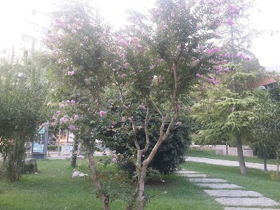 Photos of Fetih Parkı