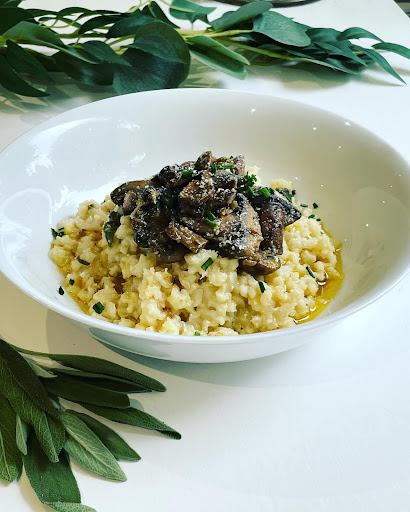 Planted Plates - Visual
