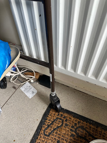 Belfast Pest Control - Low cost - Belfast