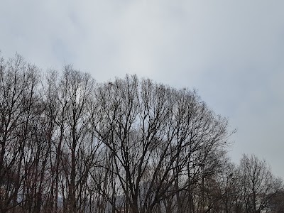 Photos of 군포어린이도서관