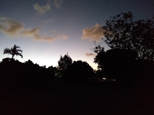 Robert Mitchell Park - Visual