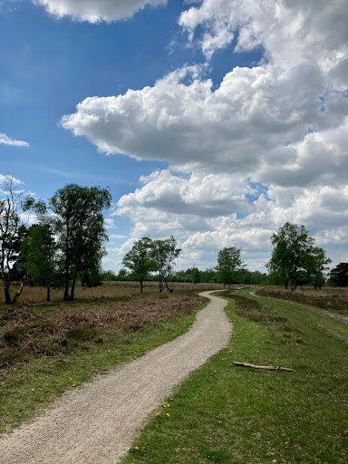 Haaksbergerveen - Vogelkijkscherm - Thumbnail