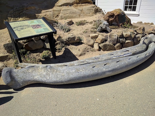 Point Reyes Lighthouse Visitor Information Center