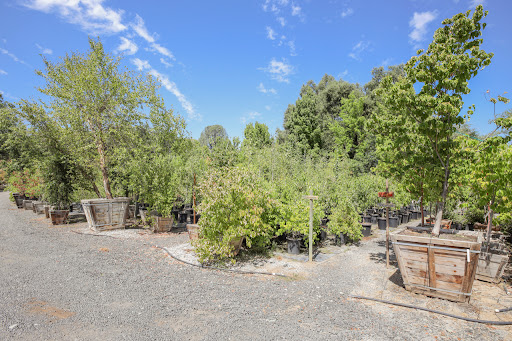 Solomon's Gardens Nursery & Landscaping - Thumbnail