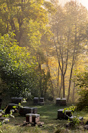 Le Rucher du Saule à Siguer