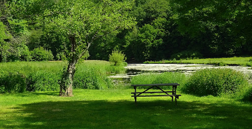 Camping Les Ochay sprl - Thumbnail