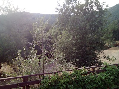 Photos of la Campana National Park