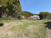 さくらキャンプ