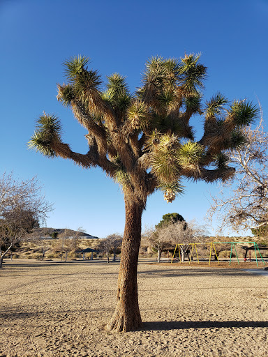 Joshua Tree Park & Recreation District - Thumbnail