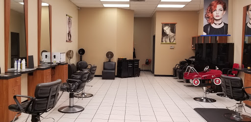 TGH Cuts - Visual