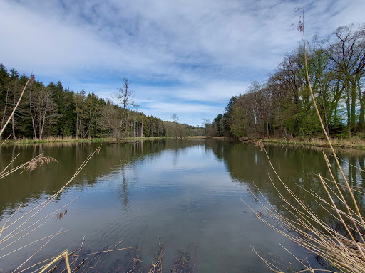 Ochsenweiher - Visual