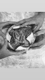 Photo n°5 de Ô Sacré Pain à Saint-Crépin-et-Carlucet (Boulangerie)