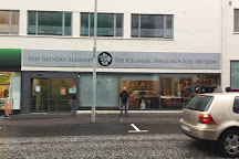 Icelandic Phallological Museum, Reykjavik, Iceland