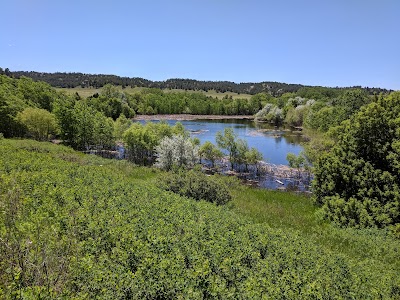 Buffalo Creek Wildlife Management Area