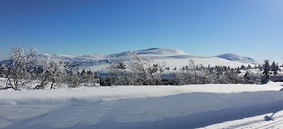 Photos of Vatle Lodge