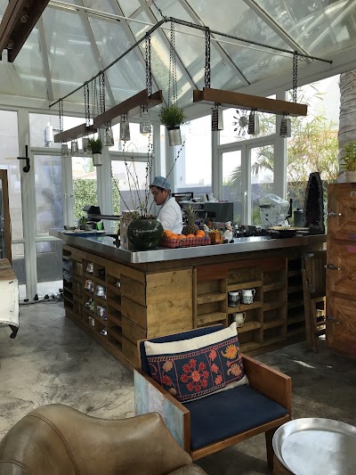 Photos of Art house cafe