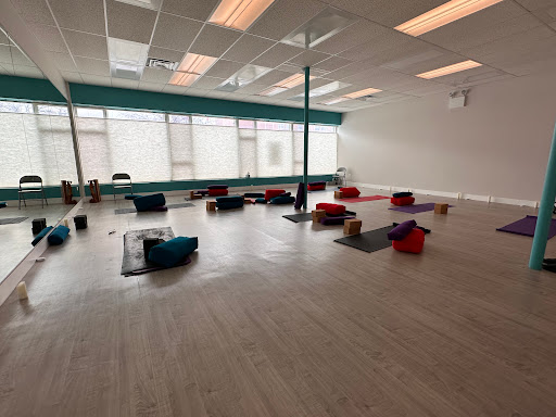 Studio Yogi - Visual