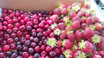 Photos of Blake's Orchard