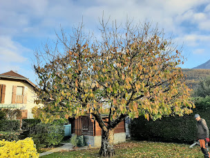 Photo n°13 de Arbor-et-tom à Barberaz (Paysagiste)