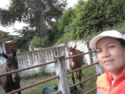 Photos of Plaza De Ferias