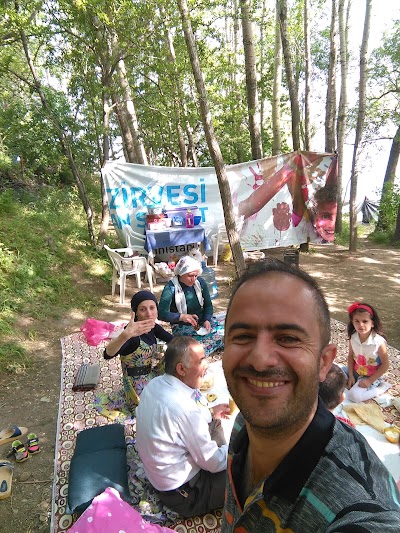 Photos of İşkirt Limanı