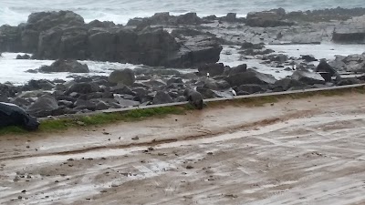 Photos of Los Molles