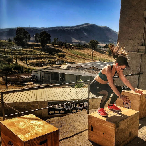 Animals Eleuterio Fitness - Bolognetta - Thumbnail