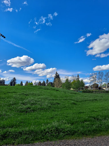 Burton Fields - Visual