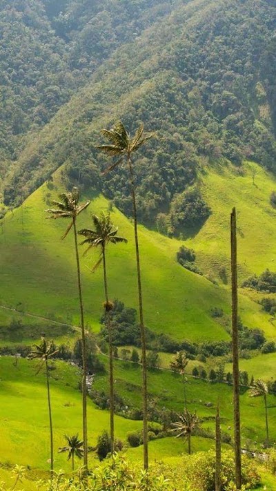 Photos of Parque Villa Flor ll