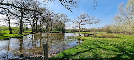 First Pond - Visual