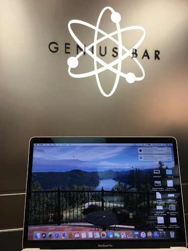 Apple Reston - Visual