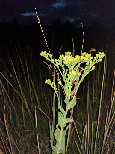 UWM Field Station - Thumbnail