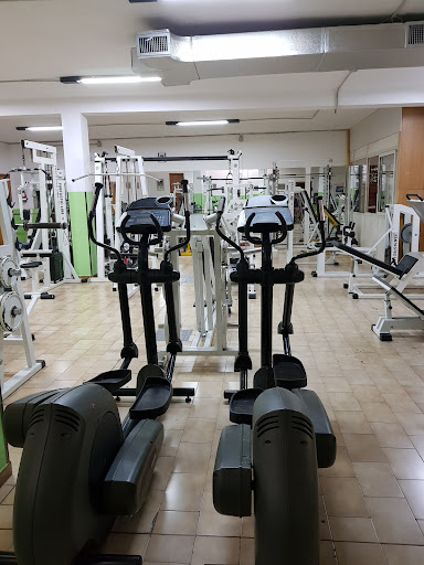 Palestra New Body Line