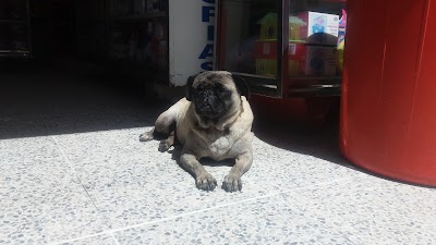 Photos of Veterinaria Huellas& Huellas