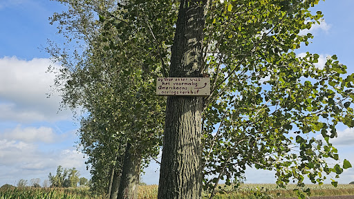 Information Sign Former American Cemetery - Thumbnail