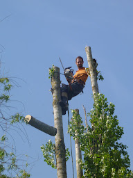 Photo n°6 de Arbre Elagage à Domène (Service d'élagage)