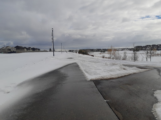 172 Street & Washburn Drive SW - Thumbnail