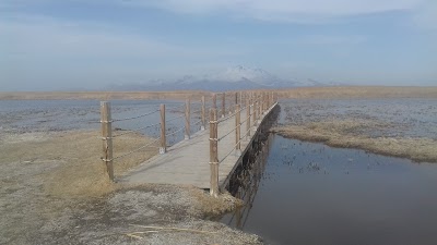 Photos of Sultan Marshes National Park
